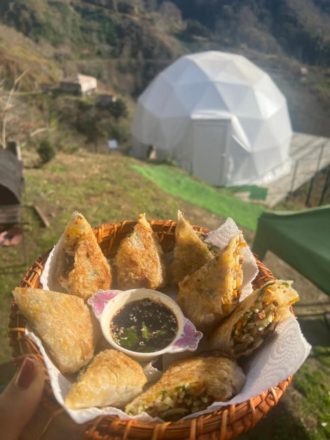 Mtirala Glamping Hotel Chakvistavi Luaran gambar