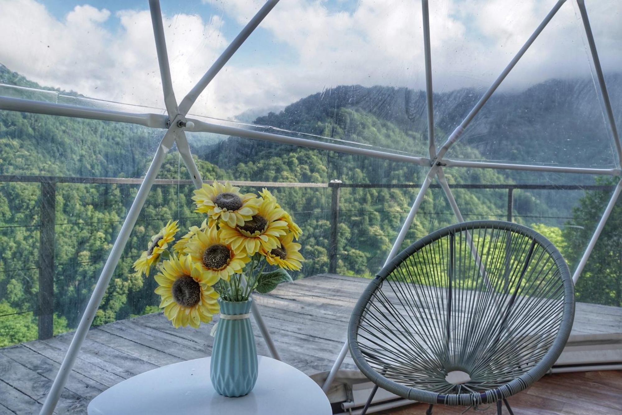 Mtirala Glamping Hotel Chakvistavi Luaran gambar